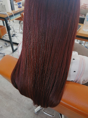 チェリーレッドブラウン