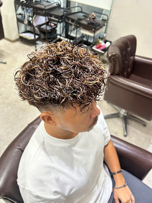 スペインカール