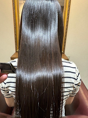 TIGRE daimyo×ロング