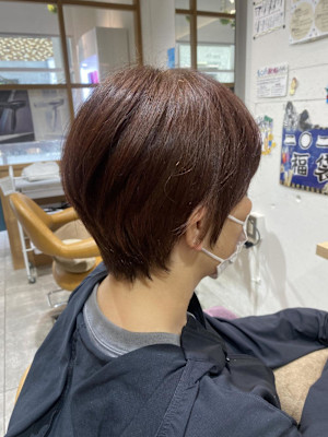 コンパクトショート