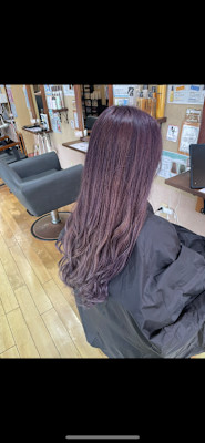 ヴァイオレットカラー