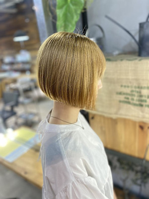 ハイトーンボブ