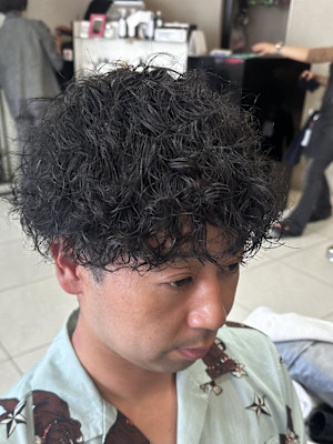 プードルパーマスパイラルパーマ短髪