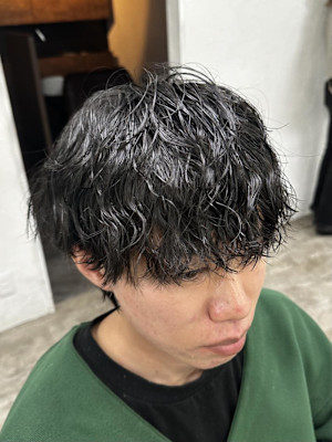 20代韓流☆ツイストパーマショートマッシュアッシュブラック