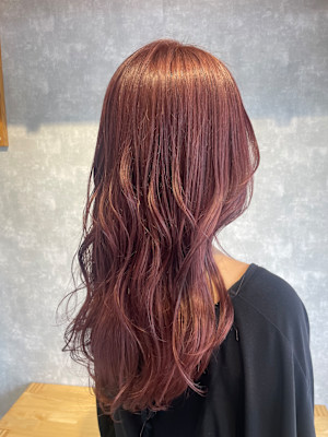 ピンクラベンダー