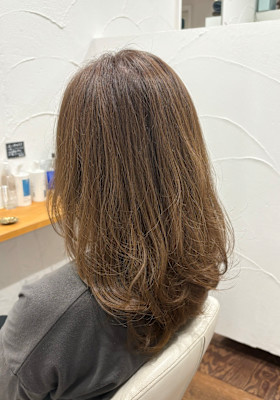 シルバーアッシュ