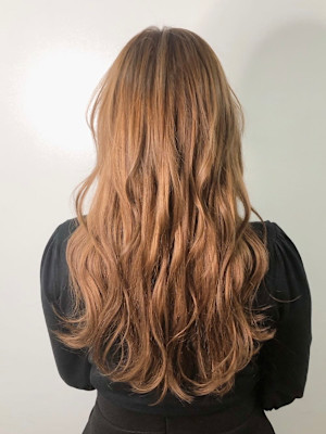 ブラウンエクステロング