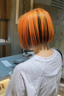 アンブレラカラー/オレンジ