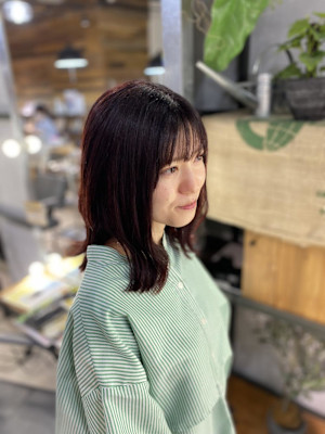 ボルドールビー