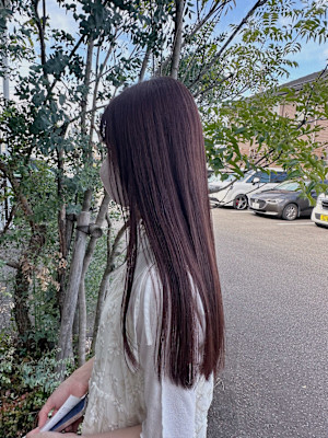 透け感/カシスブラウンカラー