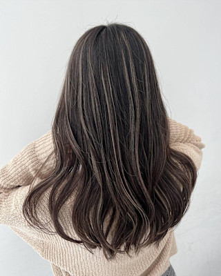 ナチュラルハイライトブラウン