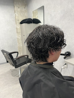 アメリカンショート