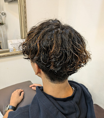 プードルパーマ