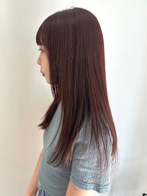 ピンクラベンダー