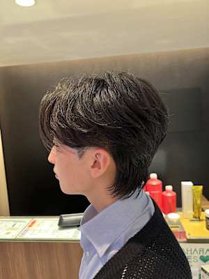 カルマパーマウルフ/マッシュウルフ/メンズマッシュウルフ　