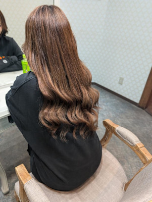 ブラウンロングヘアー