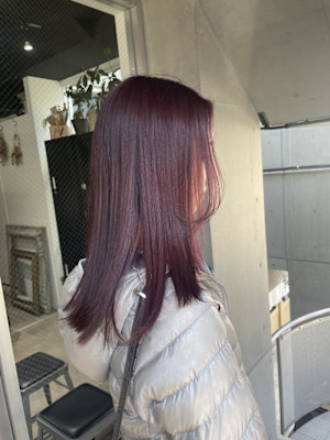 レッドカラー/ワインレッド/ハイトーン/ブリーチ