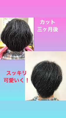 マッシュレイヤー