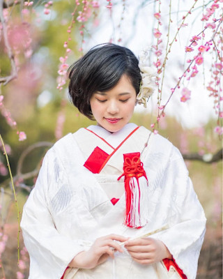 美粧花紋 bisoukamon×ミディアム