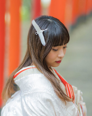 美粧花紋 bisoukamon×ロング