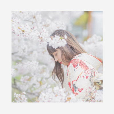 美粧花紋 bisoukamon×ロング