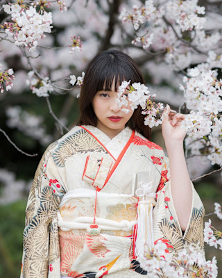 美粧花紋 bisoukamon×ロング