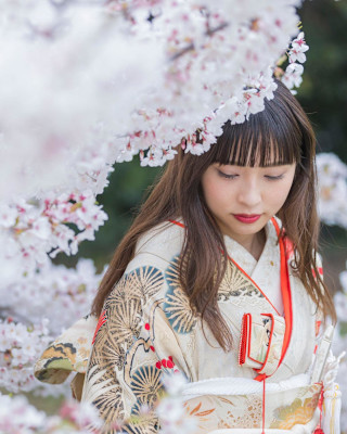 美粧花紋 bisoukamon×ロング