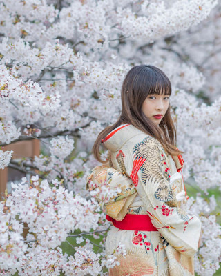 美粧花紋 bisoukamon×ロング