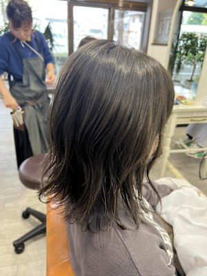 カーキグレージュ/イルミナ