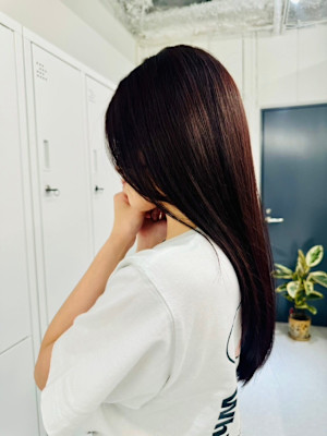 ブラウンボルドー