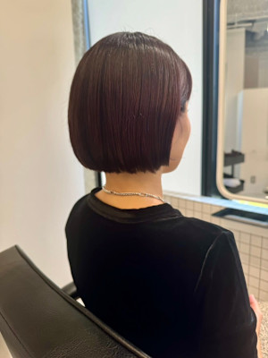 ブラウンボルドーボブ