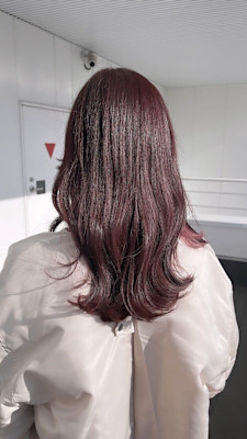 ピンクブラウン/イヤリングカラー/レイヤーカット