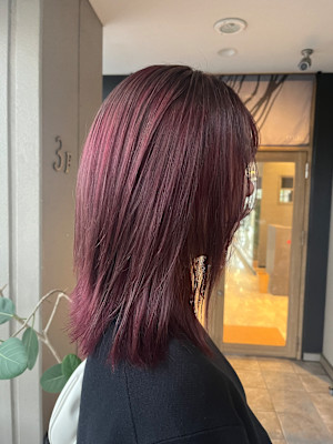 ボブ ボルドーカラー