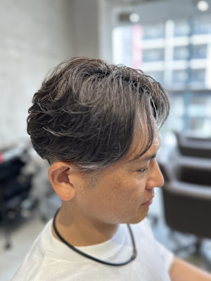 メンズ/白髪ぼかし/ハイライト