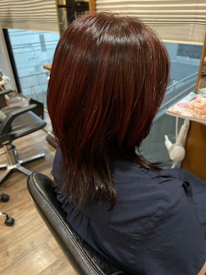 〈江戸 桃海〉ワインレッド/ウルフ/レイヤー/くびれミディ