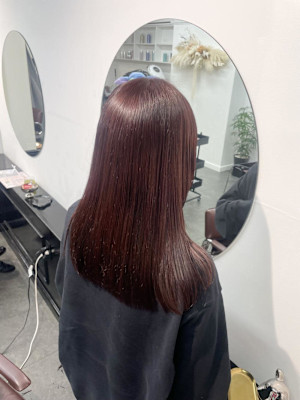 レッドブラウン/カシスレッド/ボルドー/レッドカラー