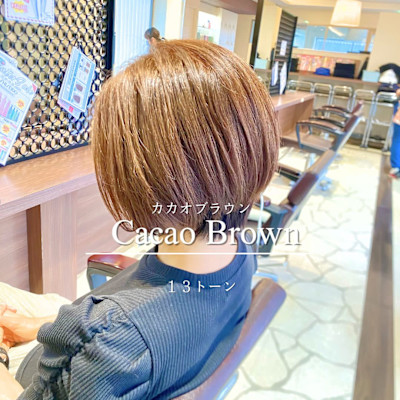 カカオブラウン