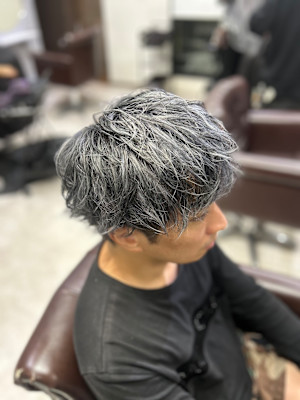 メンズ ローライト シルバー