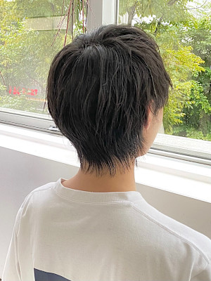 【SOLVER 南】ナチュラルウルフ/ウルフマッシュ