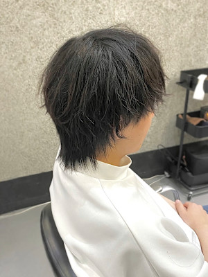 【SOLVER 南】ウルフマッシュ