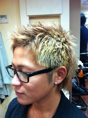 ソフモヒ×ウルフスタイル