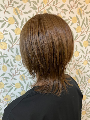 ウルフミディー