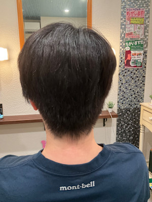 papillon hair place×ショート