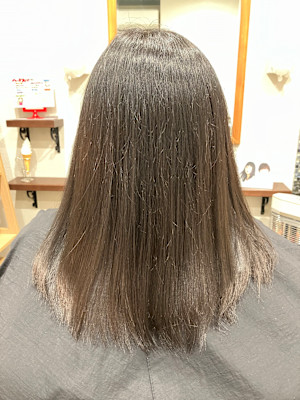 papillon hair place×ロング