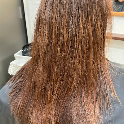 papillon hair place×ロング