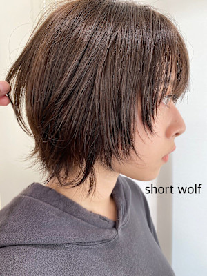 【SATOSHI】ショートウルフ