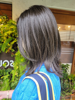 オータム・ミディアムレイヤー