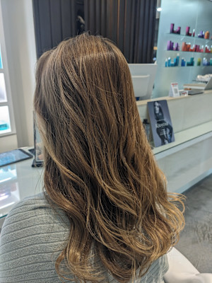 マロンブラウン