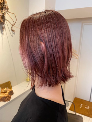 レッドブラウンボ