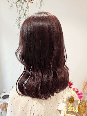 《花屋併設》ピンクラベンダー